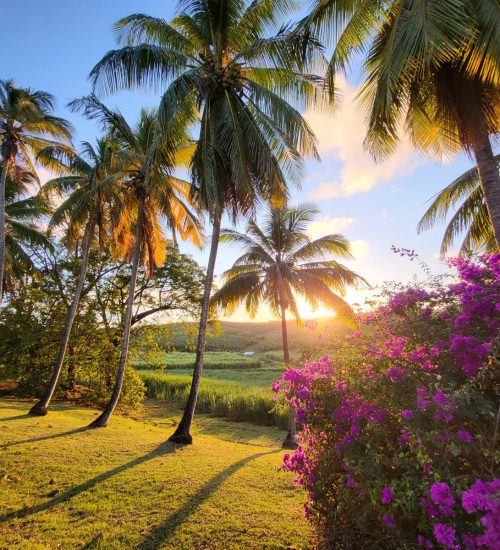 WhatsApp Image 2022-02-04 at 14.45.42