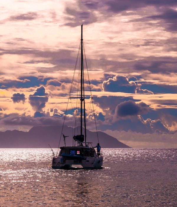 catamaran-6273113_1920